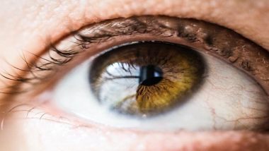 Scientists Move a Step Closer for Cataract Treatment With New Drug